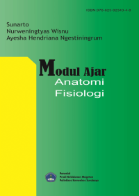Image of Modul Ajar Anatomi Fisiologi